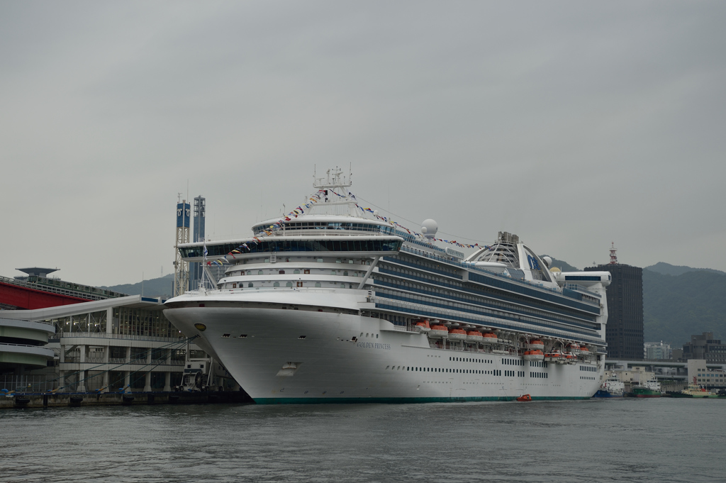 GOLDEN PRINCESS@神戸港