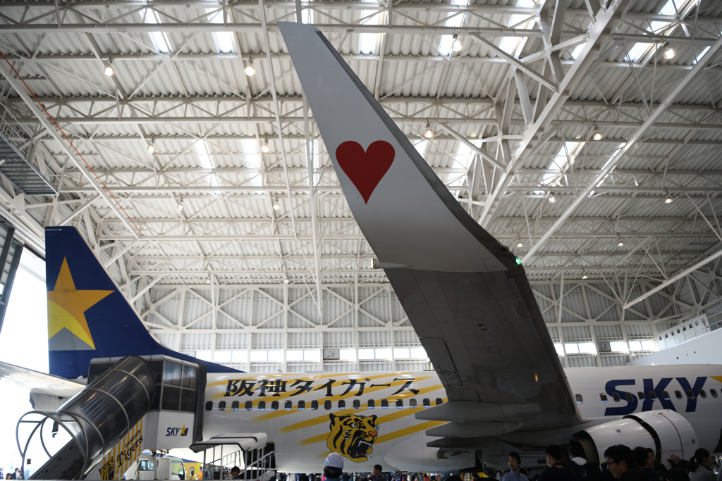 空の日@神戸空港 スカイマーク タイガースジェット