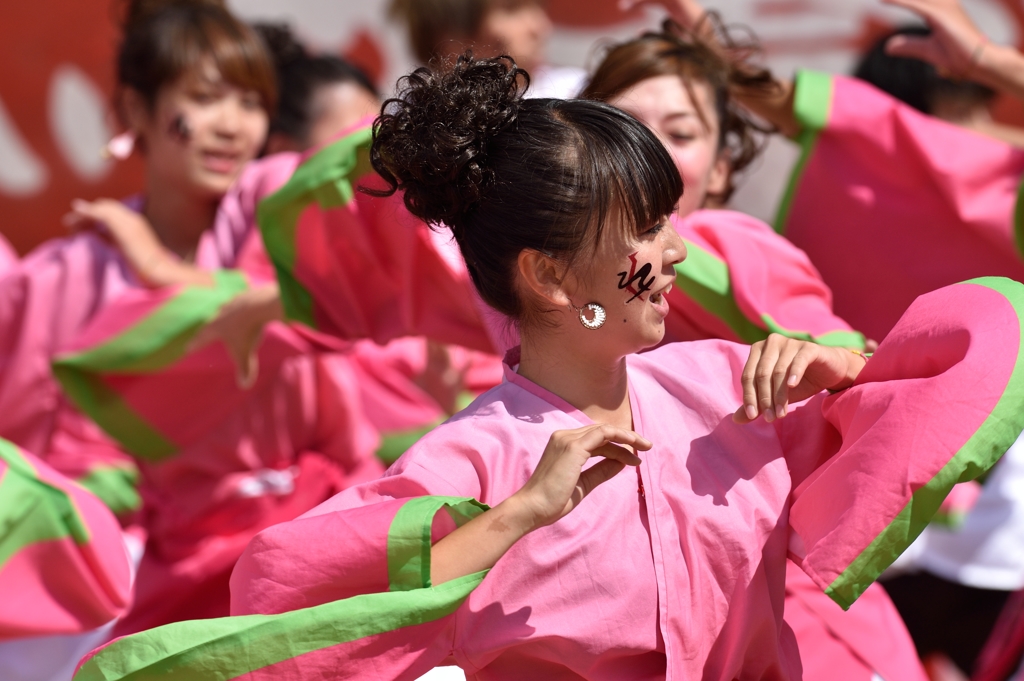 こいや祭り 2014