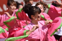 こいや祭り 2014