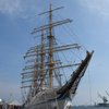 神戸帆船フェスティバル 海王丸