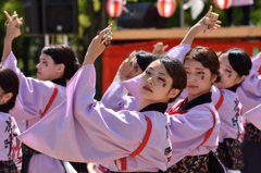 こいや祭り 2015 京小町さん