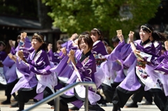 KOBE ALIVE 2014