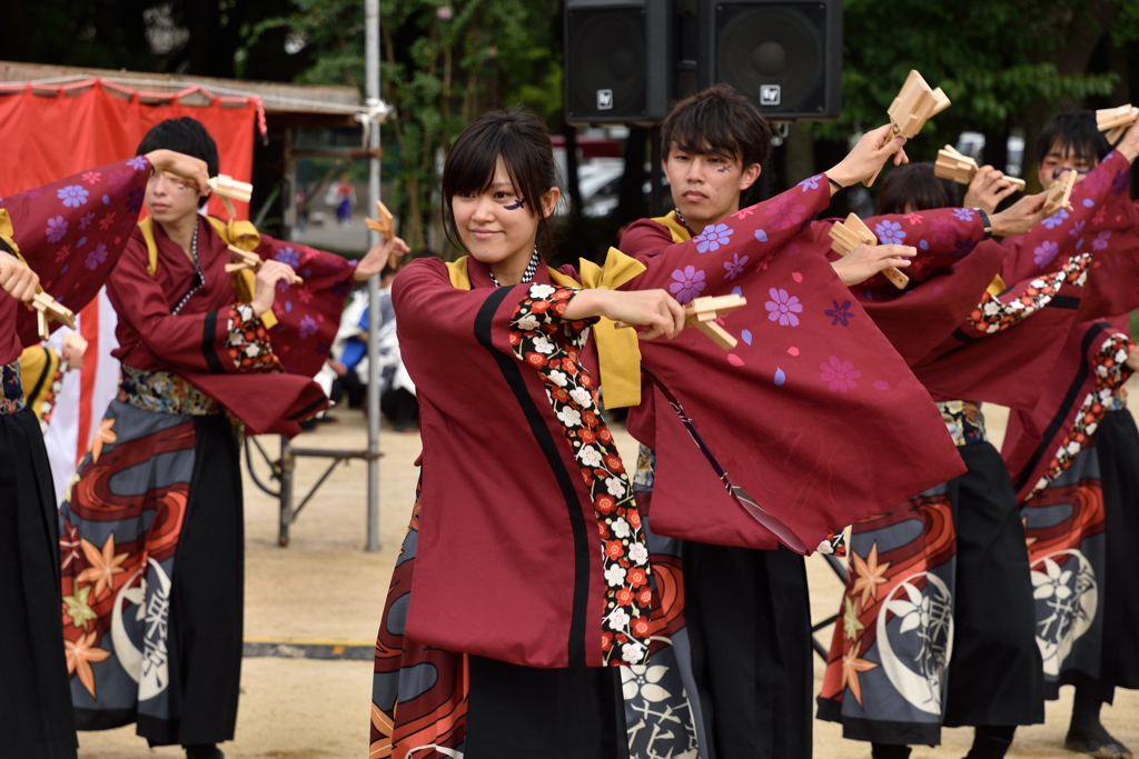 2016年こいや祭り 東京花火-2