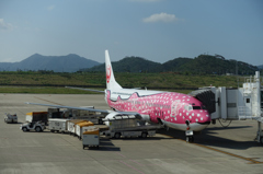 JTAさくらジンベイ B737-400