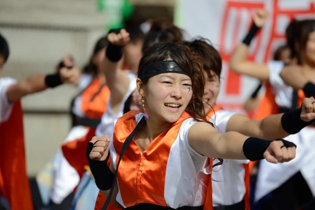 龍馬よさこい 2013