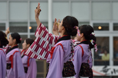 2015年 神戸よさこい 本祭2日目 京小町さん
