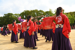 こいや祭り2017-京炎そでふれ 華羅紅