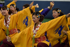 神戸よさこい 2016年 京小町-5