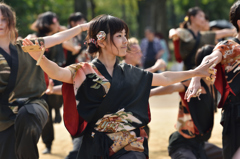 こいや祭り 2015