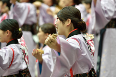 2015年 神戸よさこい 本祭1日目 京小町さん