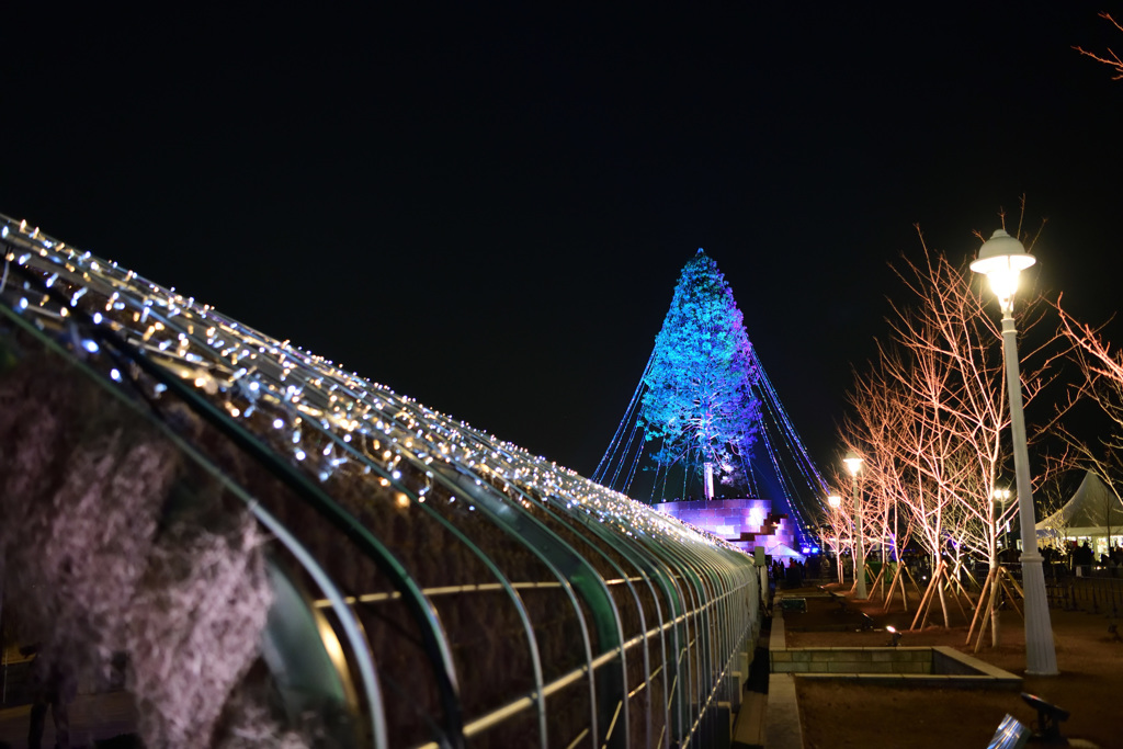 めざせ！ 世界一のクリスマスツリー PROJECT