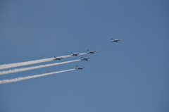 Blue Impulse@姫路城