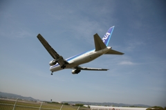 ANA B767