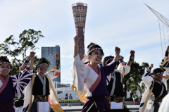 KOBE ALIVE 2015