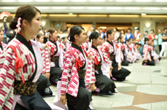 2015年 神戸よさこい 本祭1日目 京小町さん