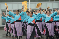 2015年 神戸よさこい 本祭2日目 京小町さん