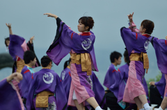 2015年 神戸よさこい 本祭2日目