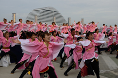 2015年 神戸よさこい 本祭1日目