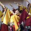 龍馬よさこい 2016-7