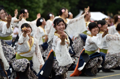 京都学生祭典 2014