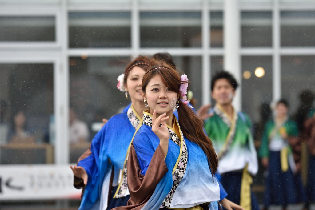2015年 神戸よさこい 本祭2日目