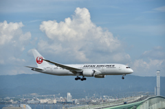 JAL B787-8