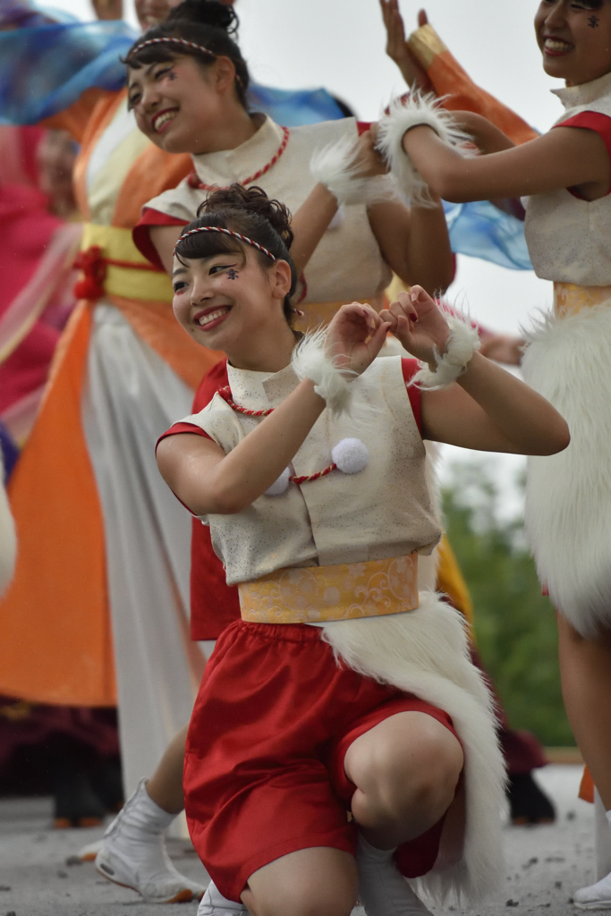 神戸よさこい 2016年 京小町-8