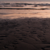 20160131-_MG_3537