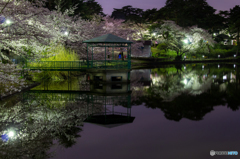 大宮公園