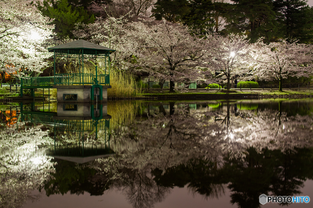 大宮公園