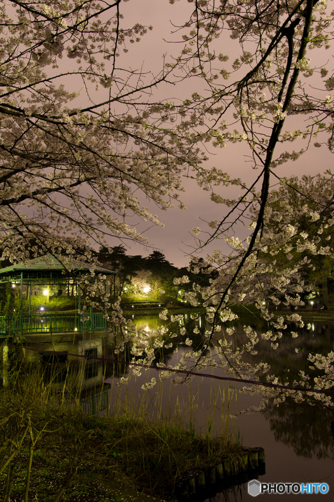 大宮公園