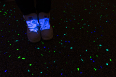 20151220-_MG_1007