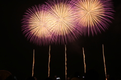 2014年ぎおん柏崎まつり