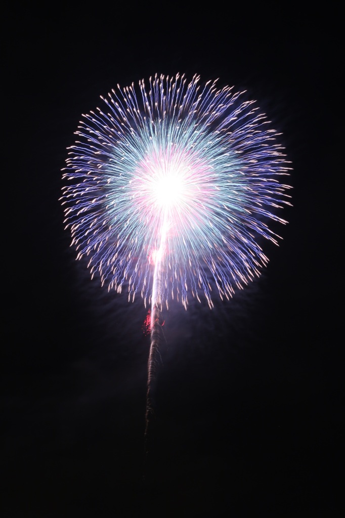 2015 たまむら花火大会1