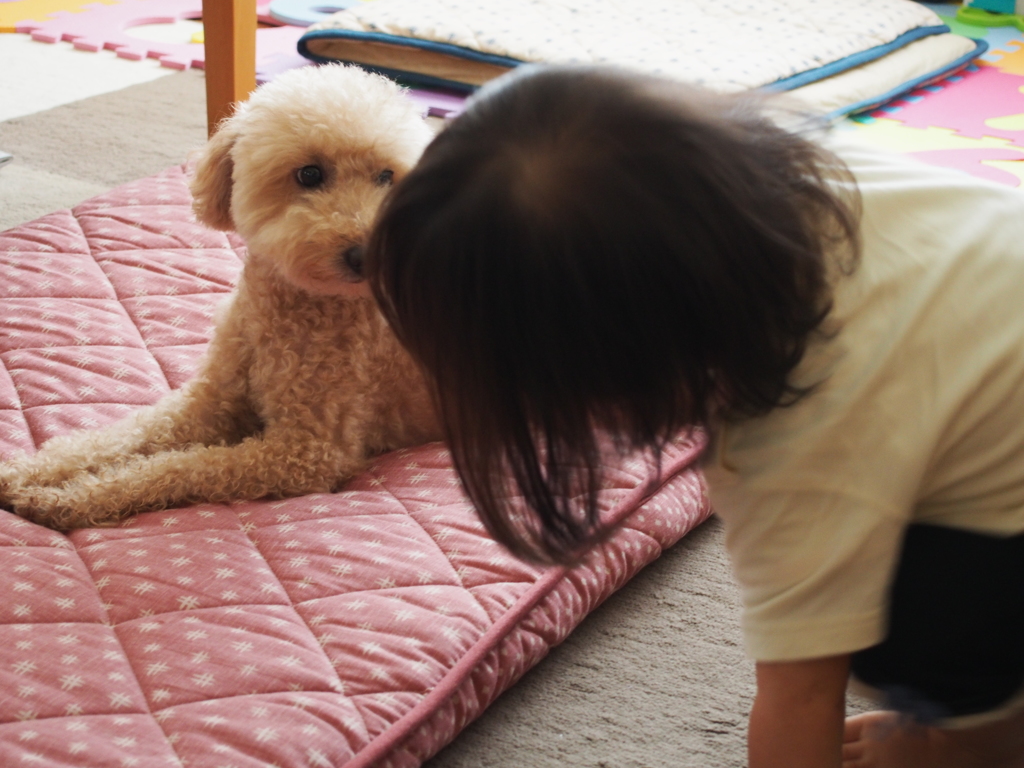 見つめ合う二人