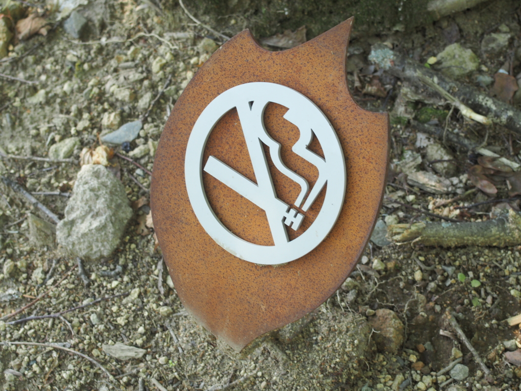 NO  SMOKING 