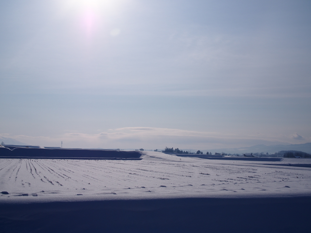 雪原