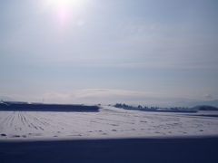 雪原
