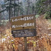 名言出ました！