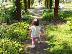 探検