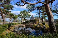 高知城と松の木が映る池