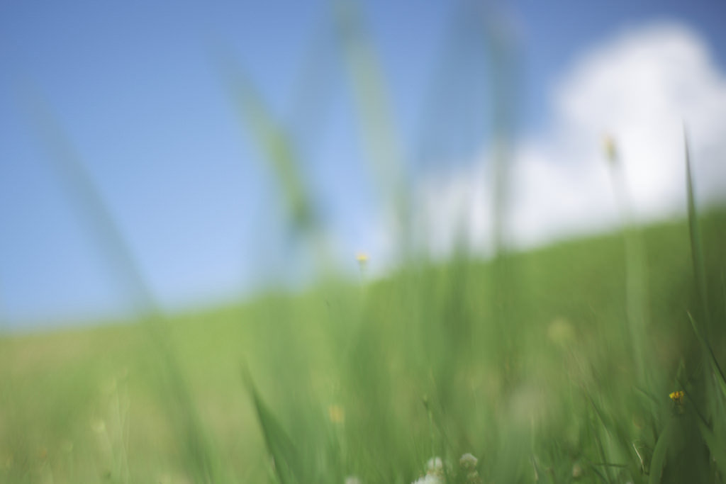 夏のイメージ