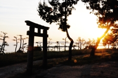 住吉さんの夕焼け