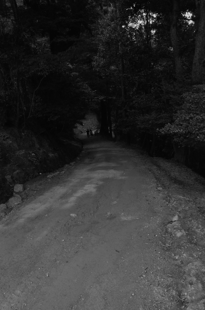 書寫山 圓教寺参道