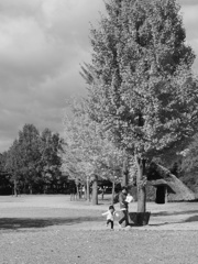 お母さんはやく…