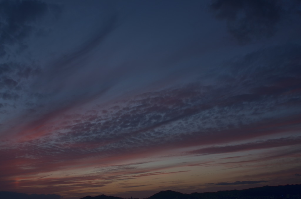 神戸空港の夕暮れ１