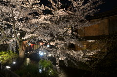 D7000夜の祇園_0247