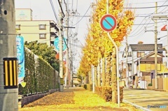 2016秋の歩道