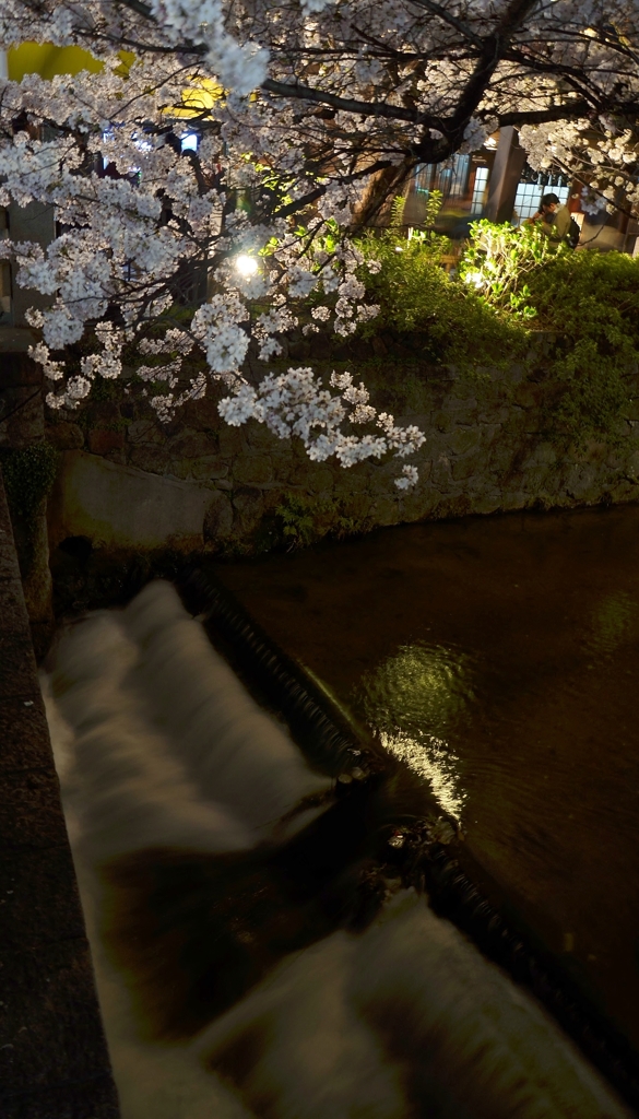 D7000夜の祇園_0001
